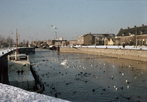 853871 Gezicht op de sluis in het Merwedekanaal te Utrecht, met veel watervogels en meeuwen, tijdens de strenge winter ...